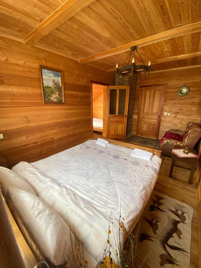 Зубровиця Bukovinka Экстерьер фото